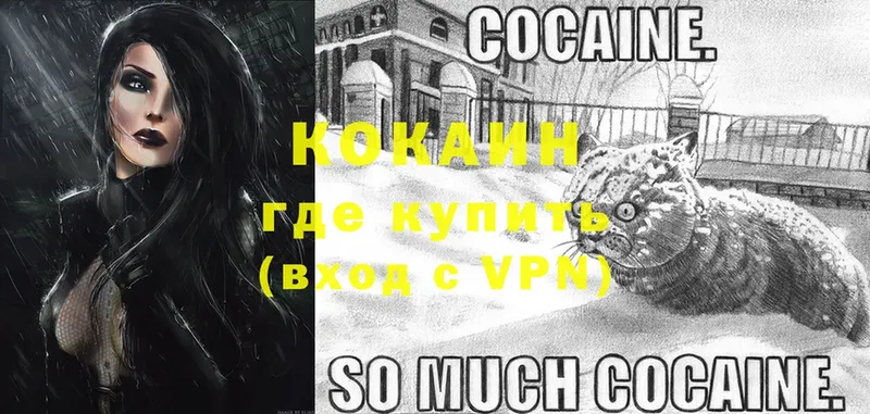 Cocaine Fish Scale  даркнет сайт  Любим 